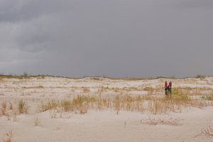 Strandpaal Schiermonnikoog