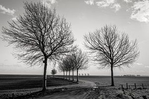 Der Johannes-Kerkhoven-Polder
