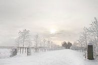 Winter landschap van Ingrid Van Damme fotografie thumbnail