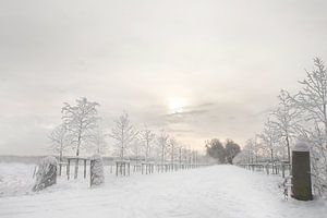 Winter landschap van Ingrid Van Damme fotografie