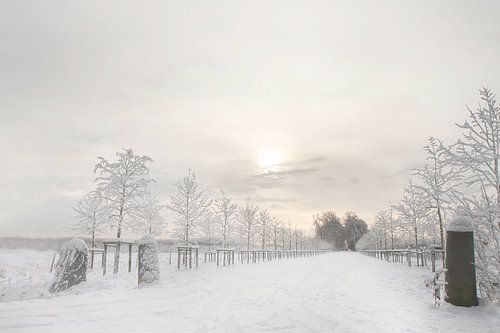 Winter landschap