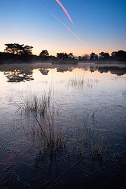 The Quin with ice on the water