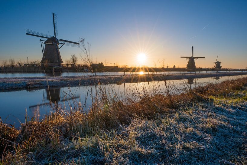 Winterochtend in Kinderdijk van Yvonne de Bondt