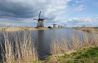 Moulins à vent de Kinderdijk : patrimoine mondial de l'Unesco par Rini Kools Aperçu