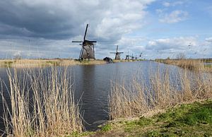 Moulins à vent de Kinderdijk : patrimoine mondial de l'Unesco