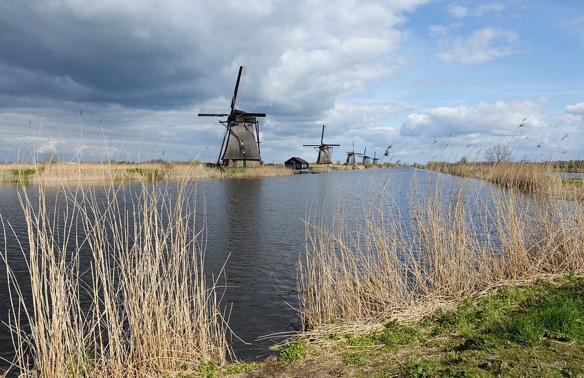 Moulins à vent de Kinderdijk : patrimoine mondial de l'Unesco par Rini Kools