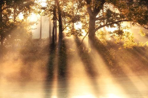 Loftahammar Natur Oktober 2025 4 von Marc Hollenberg