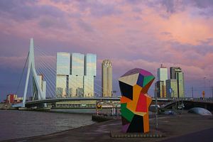 Marathon Bild Rotterdam