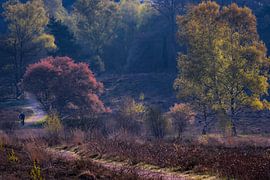 On the way by Bram de Jong