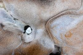 Eisskulptur mit Porträt