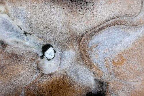 Ice sculpture with portrait