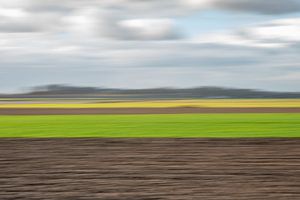 Polder Landscape II