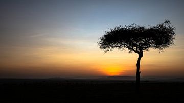 Zonsopkomst in Afrika. van Gunter Nuyts