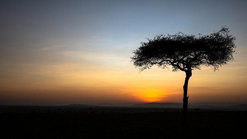 Sunrise in Africa. by Gunter Nuyts