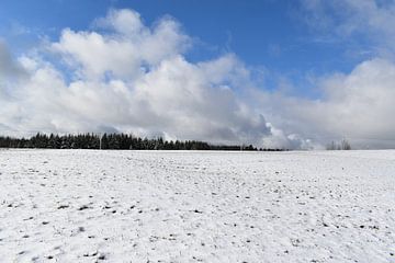 De eerste sneeuw van de winter van Claude Laprise