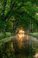 Sunrise behind the bridge in the woods