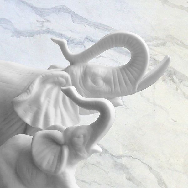 Porcelain elephants 6.0 by Ingo Laue