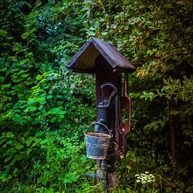 Alte Wasserpumpe im Garten von Patrick Dijkman