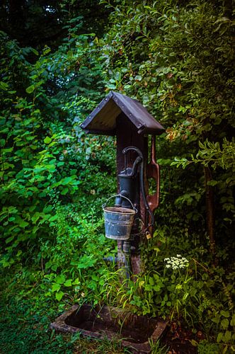 Ancienne pompe à eau dans le jardin