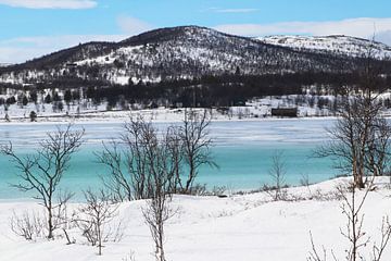 Hardangervidda bevroren fjord van Inge Hogenbijl