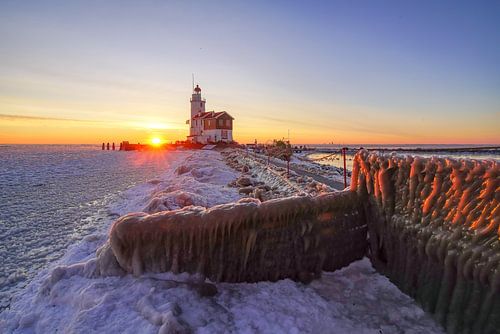 Le cheval de Marken par un matin froid