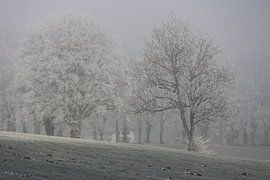 Winter tranquillity in Aschau