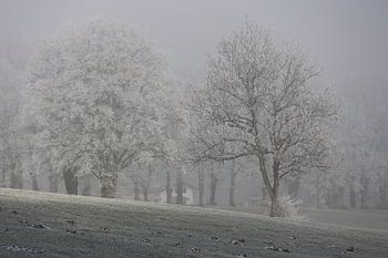 Winterstille in Aschau