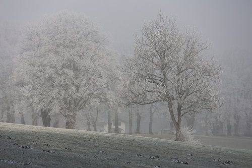 Le calme hivernal à Aschau