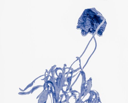 De blauwe digitale bloem