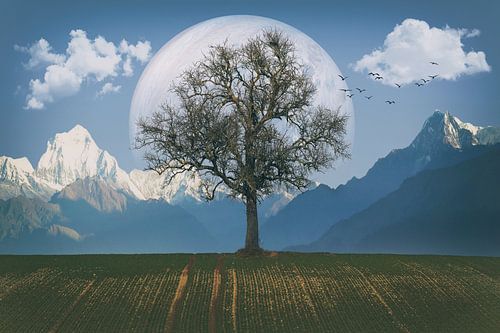Composing - bare tree with planet and mountains