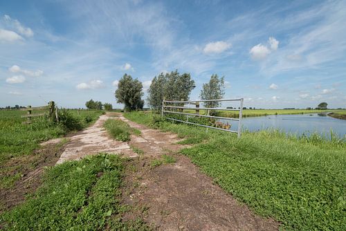 Pad langs vaart in poldergebied Alblasserwaard