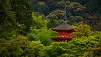 Japanse tempel in het bos