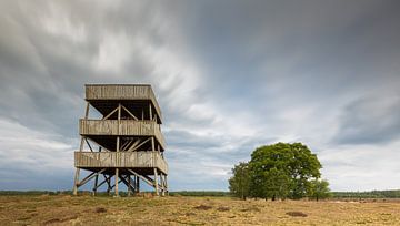 Uitkijktoren Drents-Friese wold (Nederland) van Marcel Kerdijk