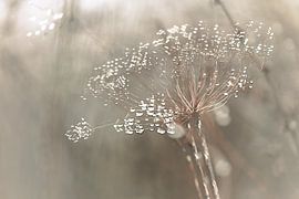 Heteren part 84 van Tania Perneel