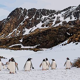 Pinguins South Georgia lopen bergop van e pha
