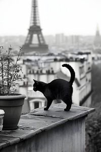Catwalk über den Dächern von Paris