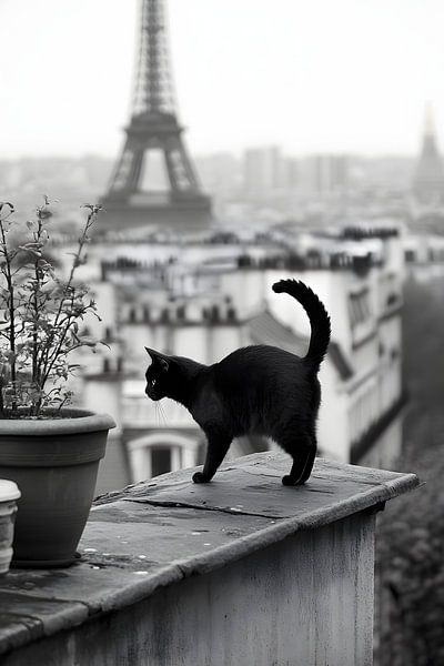 Catwalk over the rooftops of Paris by Skyfall
