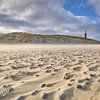Schelpen op het strand bij de vuurtoren van Texel trotseren de harde wind van Ad Jekel