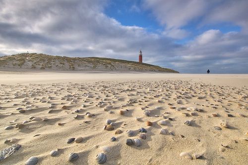 Schelpen op het strand bij de vuurtoren van Texel trotseren de harde wind