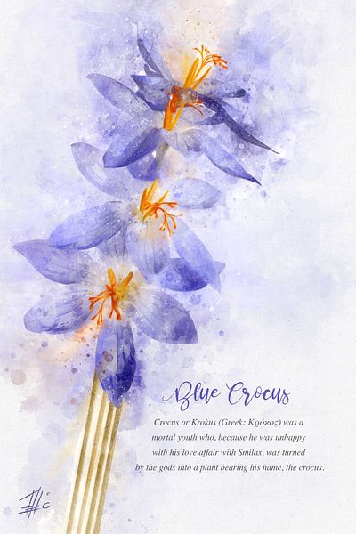 Blue crocus by Theodor Decker