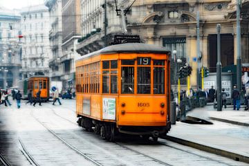 Milan Tram Blooming by Ingo Laue