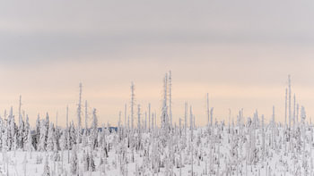 uitzicht Lusen Bayerische Wald