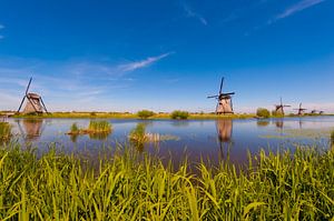 Windmills in the Sun