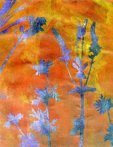 blau oranges Graskonzert