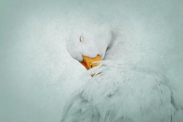 Gans in Moment van Sereniteit IJzige Elegantielijn van Femke Ketelaar