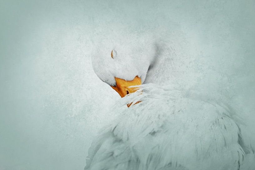 Goose in Moment of Serenity Icy Line of Elegance by Femke Ketelaar