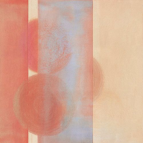 Camouflaged Circles 02