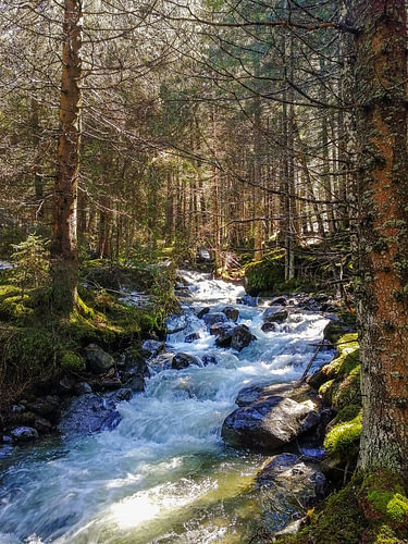 Ein sonnenbeschienener Gebirgsbach, der über moosbedeckte Felsen fließt