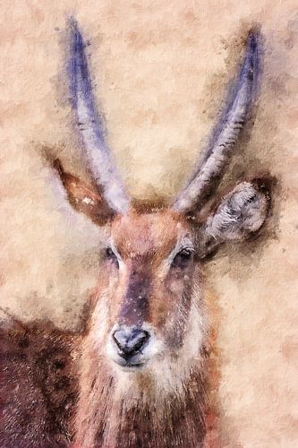 Portrait of a waterbuck (art)