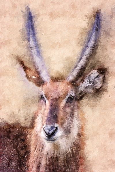 Porträt eines Wasserbocks (Kunst) von Art by Jeronimo